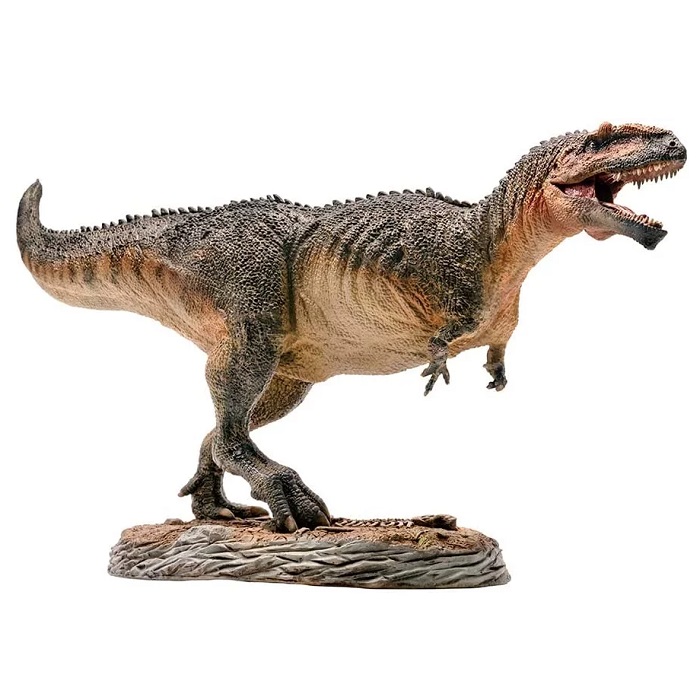 Junbaby: Mô hình khủng long giganotosaurus pnso