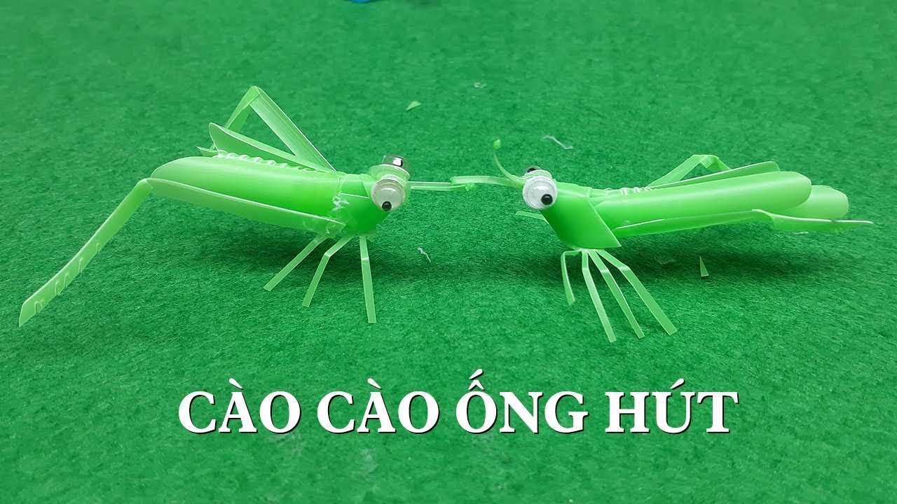 cach-do-choi-con-cao-cao-tu-ong-hut