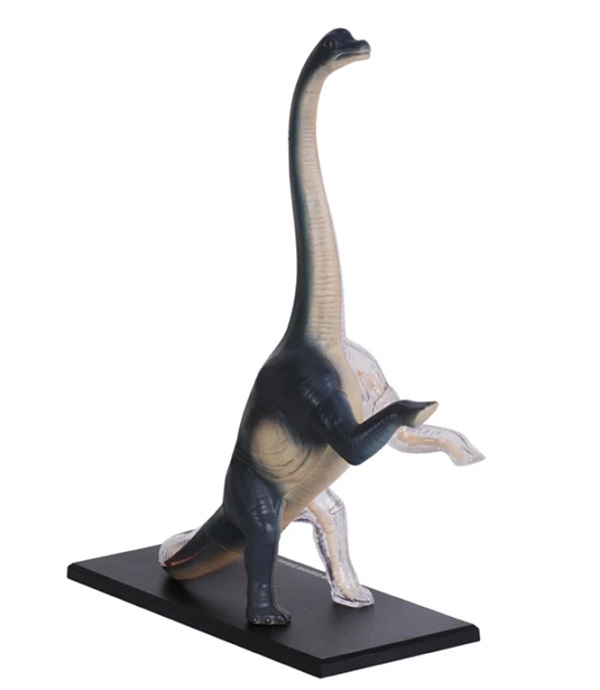 mo-hinh-khung-long-4d-brachiosaurus-h5