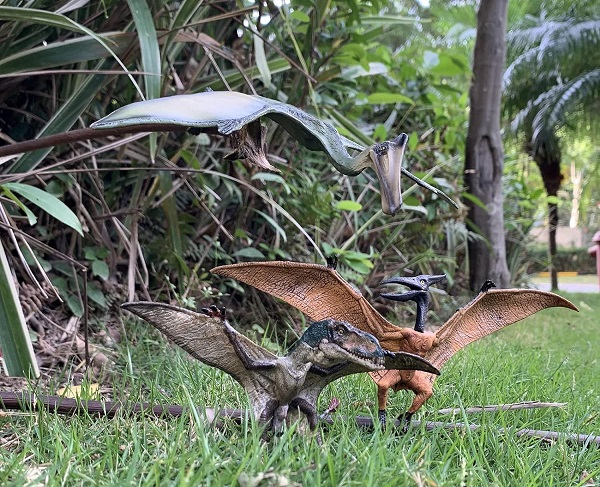 mo-hinh-khung-long-bay-pterodactyl-gemini-h7