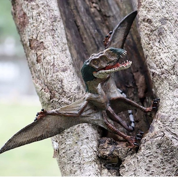 mo-hinh-khung-long-bay-pterosaur-h7