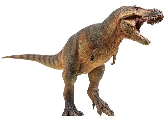 mo-hinh-khung-long-t-rex-pnso-h5